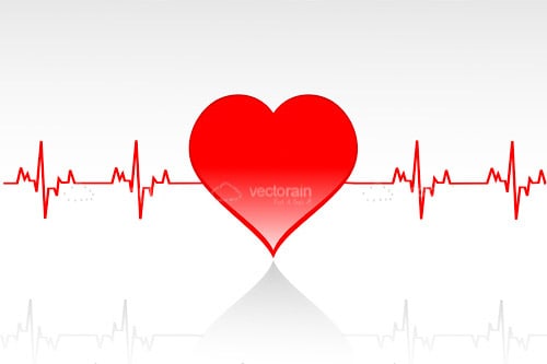 Cardiogram and Red Heart on White Background